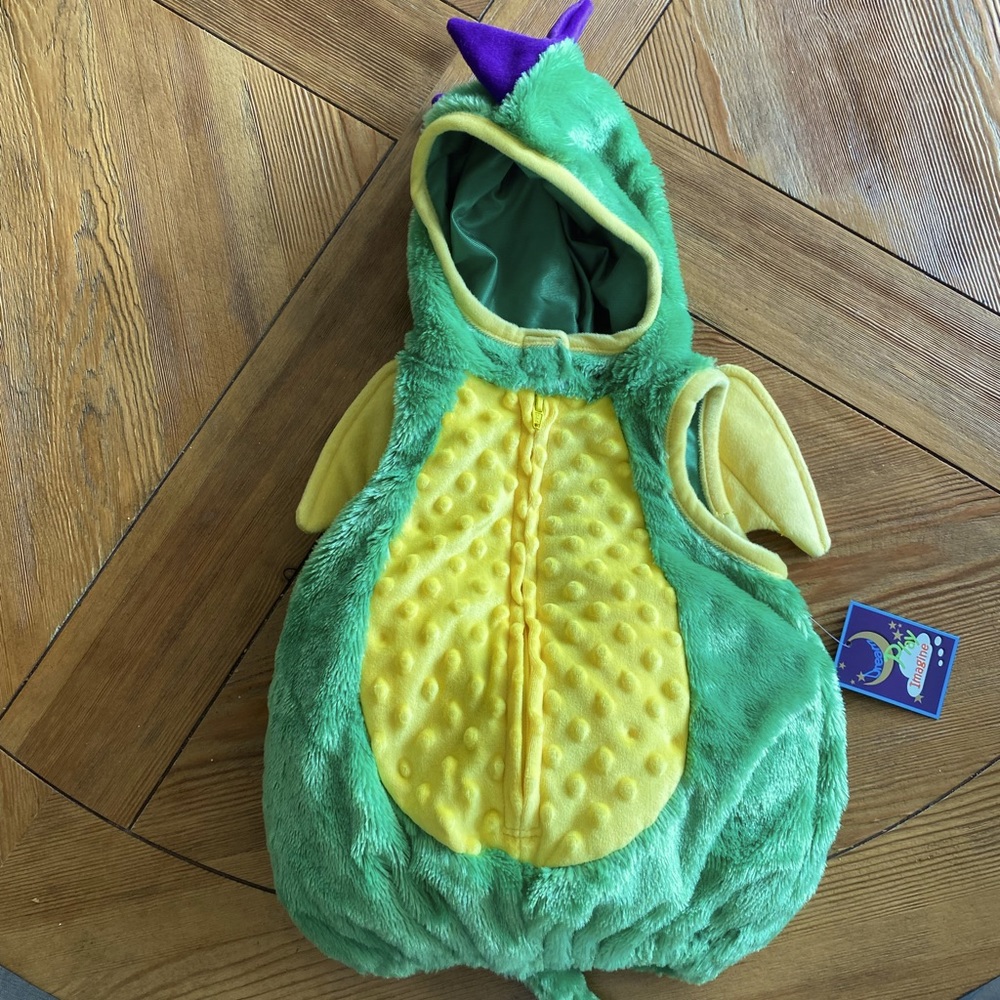 Dragon Costume